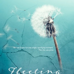Fleeting_Moments_Ebook_Cover[1]